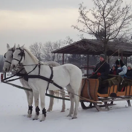 Soskuti Lovas Elmenypark Es Panzio * Soskut