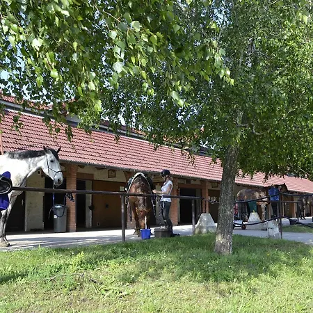 Bed & Breakfast Soskuti Lovas Elmenypark Es Panzio *
