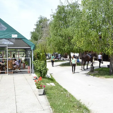 Soskuti Lovas Elmenypark Es Panzio * Soskut