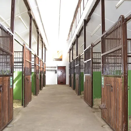 Bed & Breakfast Soskuti Lovas Elmenypark Es Panzio *