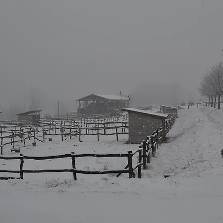 Bed & Breakfast Soskuti Lovas Elmenypark Es Panzio *