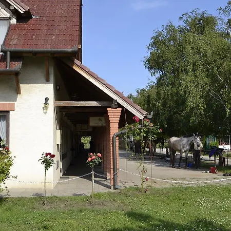 Bed & Breakfast Soskuti Lovas Elmenypark Es Panzio *