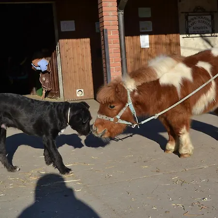 Soskuti Lovas Elmenypark Es Panzio * Soskut