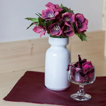 Soskuti Lovas Elmenypark Es Panzio Bed & Breakfast Soskut